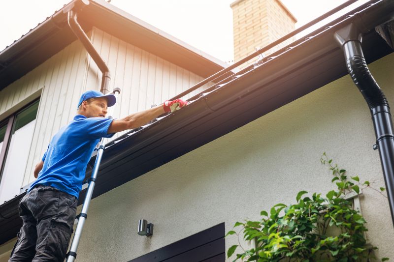 Gutter & Roof Maintenance
